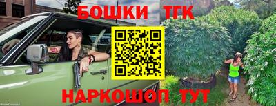 дурь Кингисепп