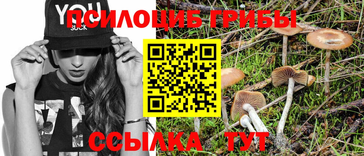 Галлюциногенные грибы MAGIC MUSHROOMS  Галлюциногенные грибы Cubensis  Вход с VPN  Котлас 